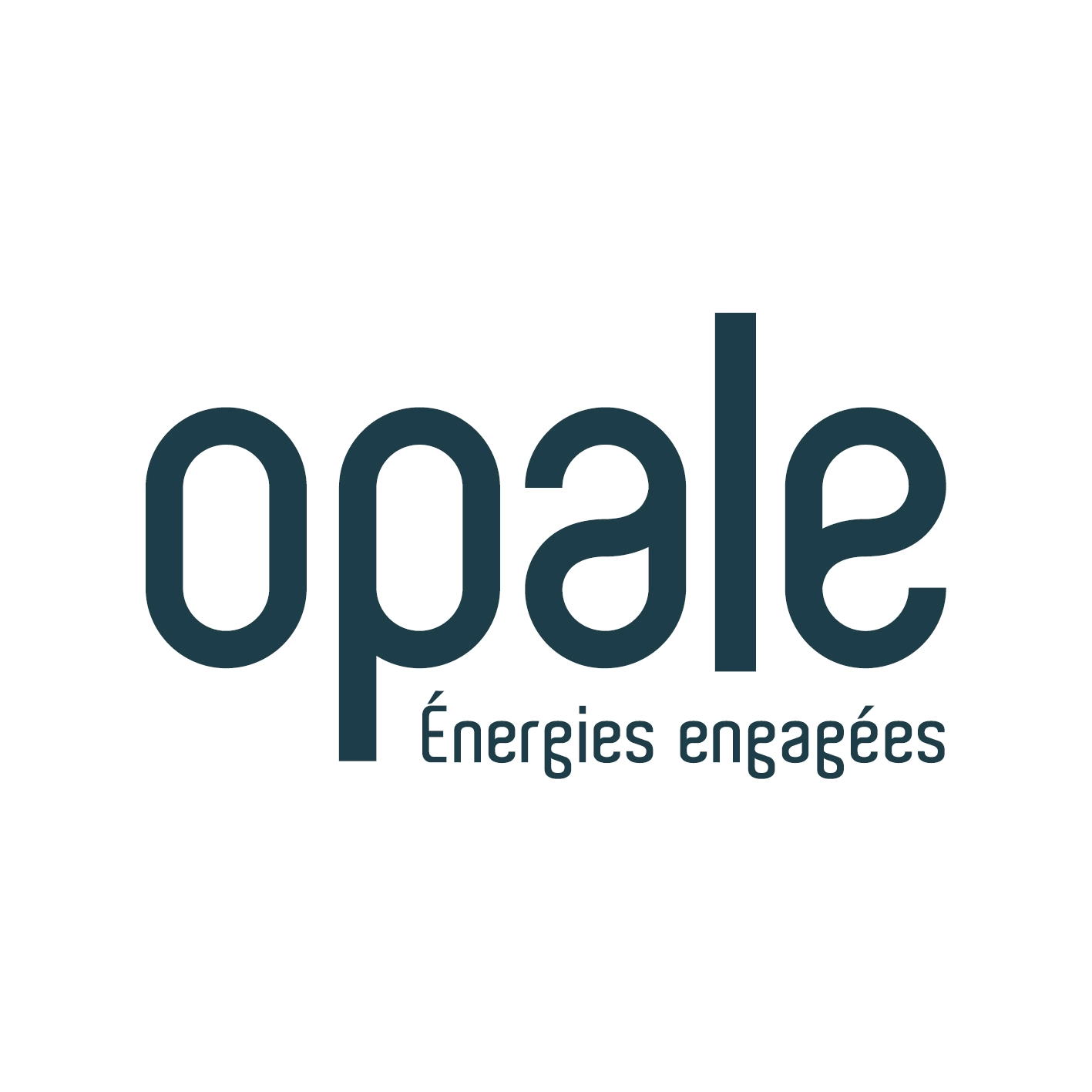 Maxime Barets - Chef de projet éolien - Opale